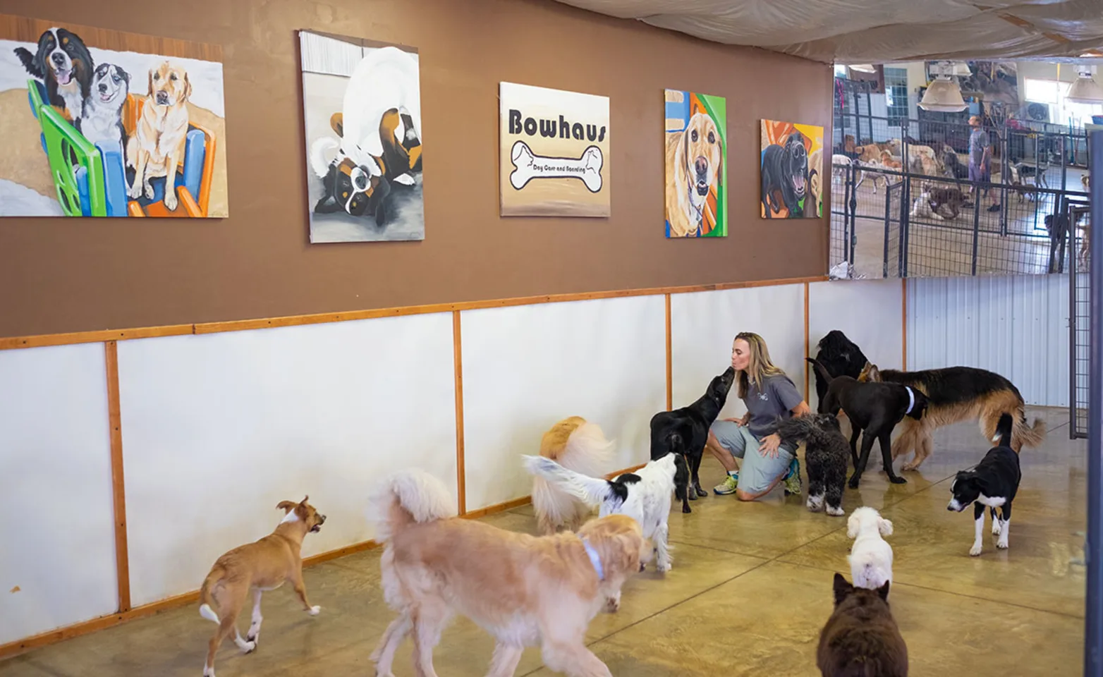 Dogs with staff in indoor play area during Dog Daycare at Bowhaus